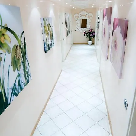 Alle Due Palme 2* 우디네